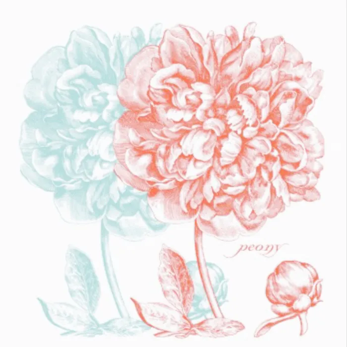 Peony Beauty Studio Picture 10