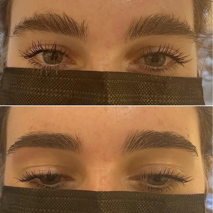 APBrows Picture 3