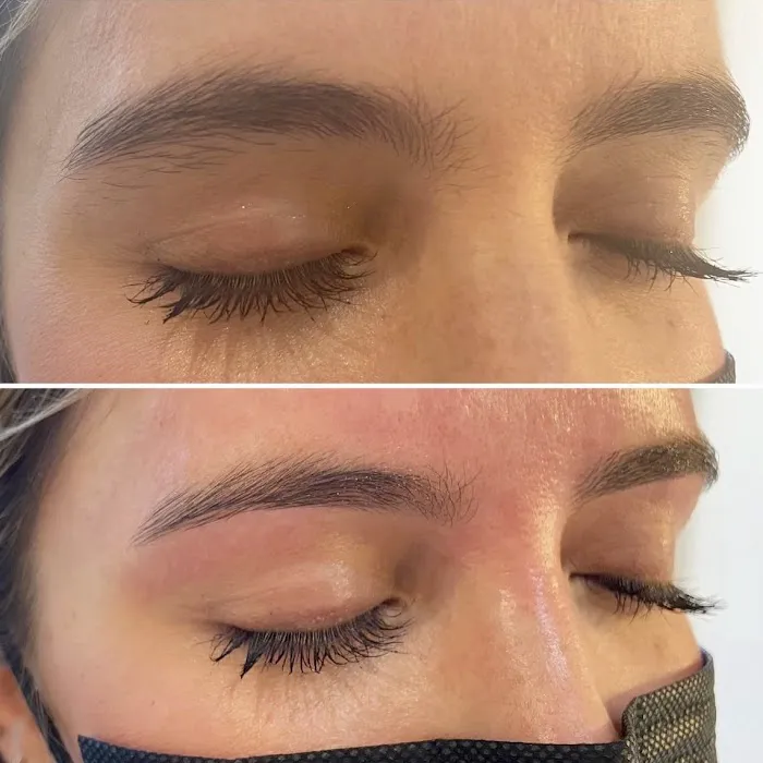 APBrows Picture 2
