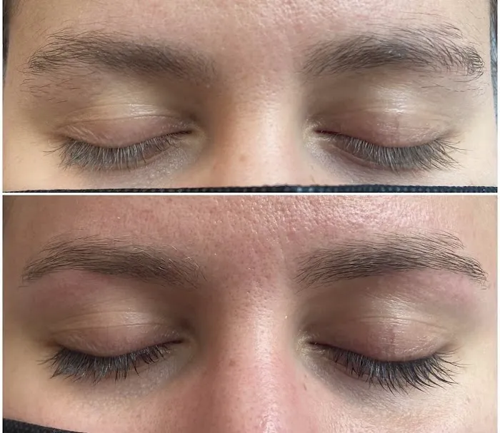 APBrows Picture 7