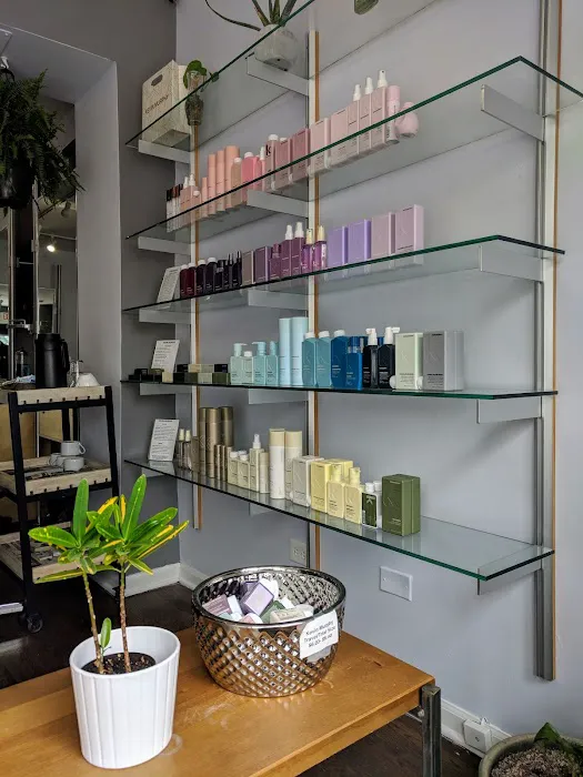 Nomobo | Chicago Hair Salon Picture 5