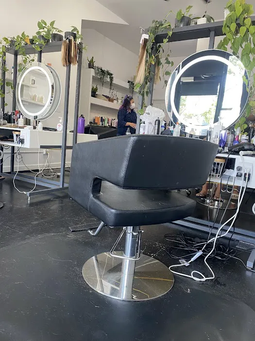 Salon JP Picture 7