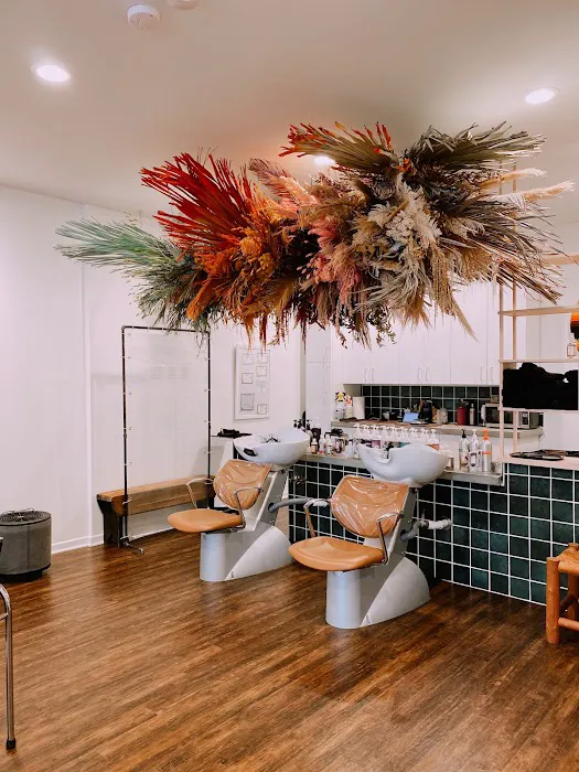 Oko Salon Picture 4