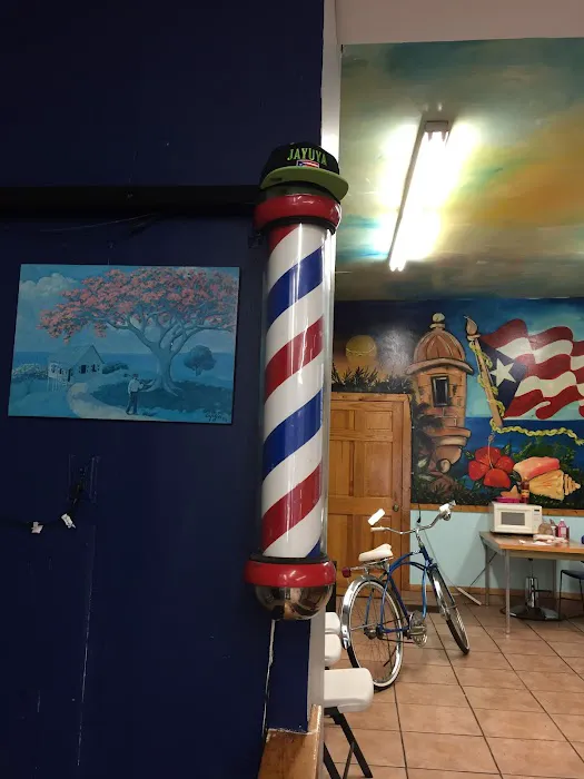 Jayuya Barberstylist Picture 5