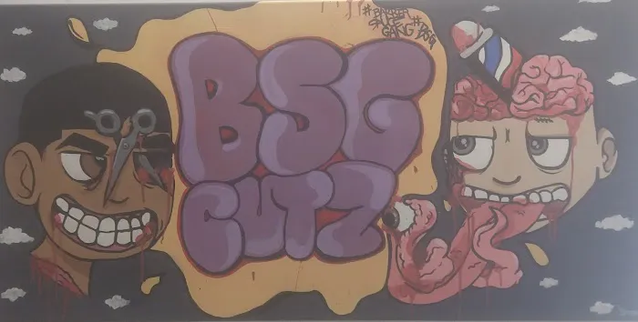 B.S.G CUTZ Picture 1