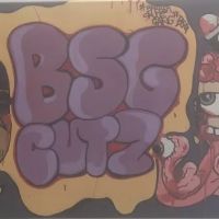 B.S.G CUTZ ico
