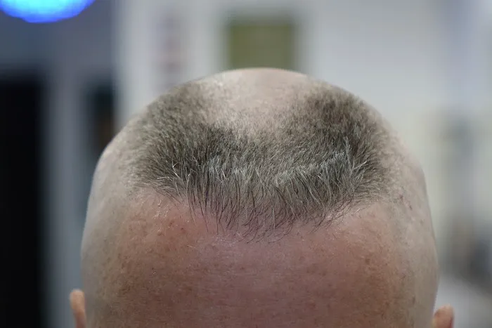 Old Dog Barbershop Picture 9