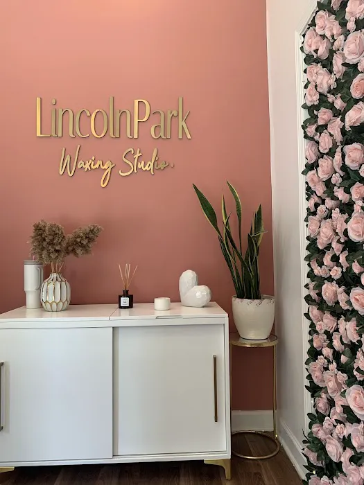 Lincoln Park Waxing Studio Picture 2
