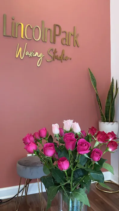 Lincoln Park Waxing Studio Picture 5