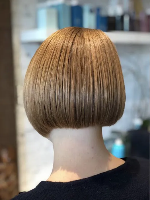 Lincoln Park Hair Salon Picture 9