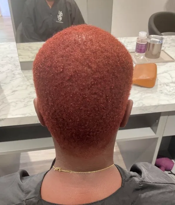 Madison Reed Hair Color Bar Lincoln Park Picture 1