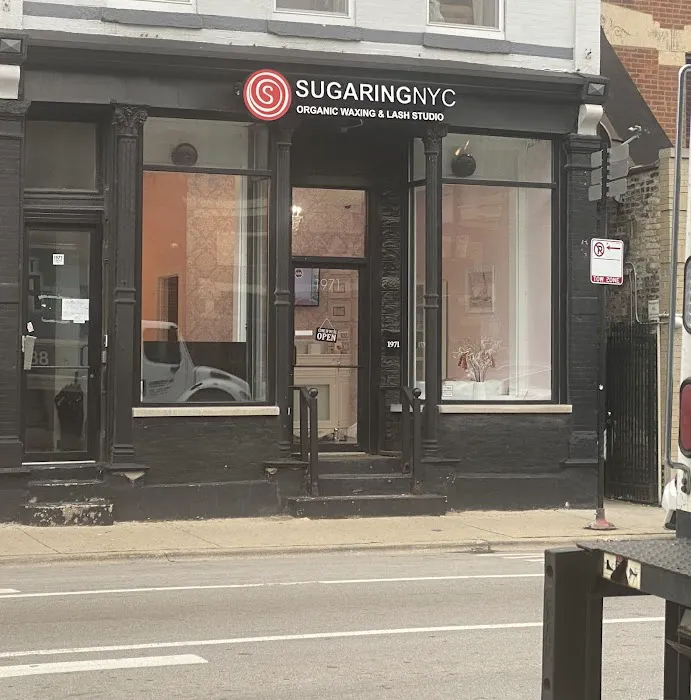 Sugaring NYC - Chicago Lincoln Park Picture 9