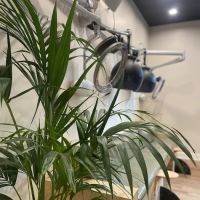Salon Shiloh ico