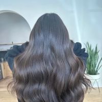 Blohaute ico