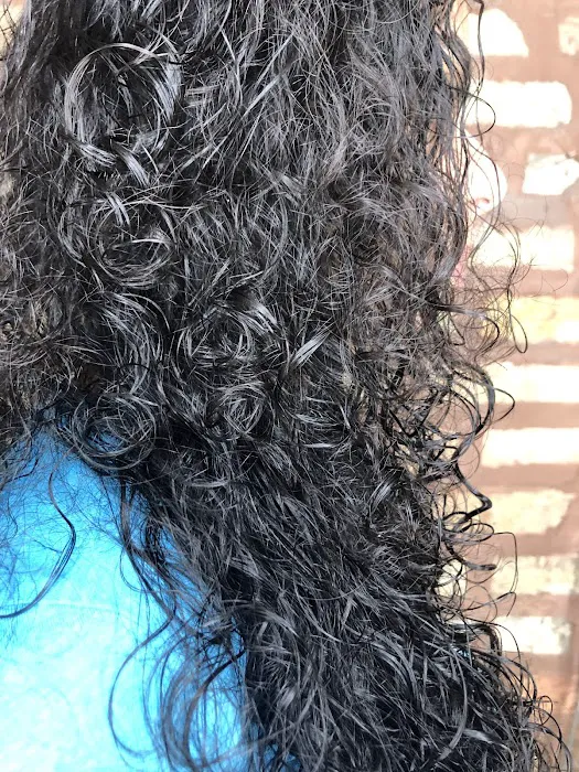 Curl Kitchen Salon Picture 10