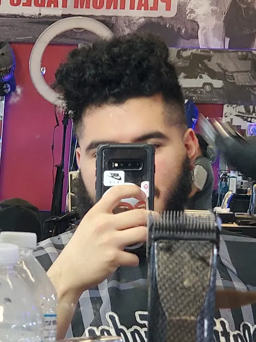 Platinum Fades Picture 1