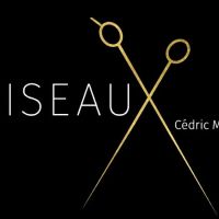 Ciseaux, LLC ico