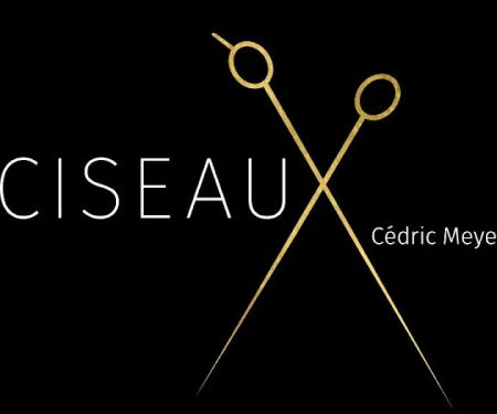 Ciseaux, LLC