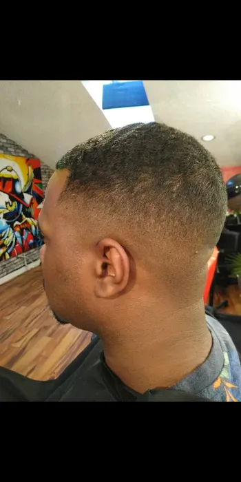 The Precision Cut Picture 3