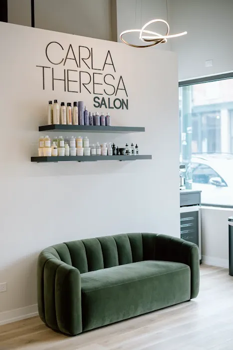 Carla Theresa Salon Picture 10