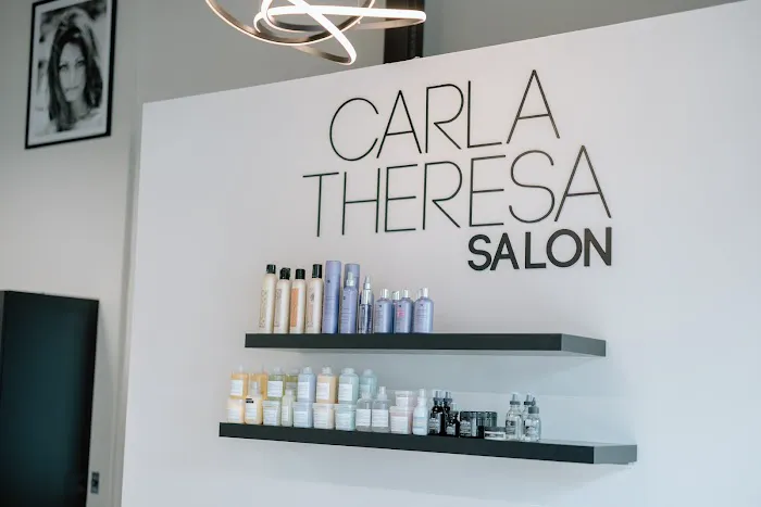 Carla Theresa Salon Picture 5