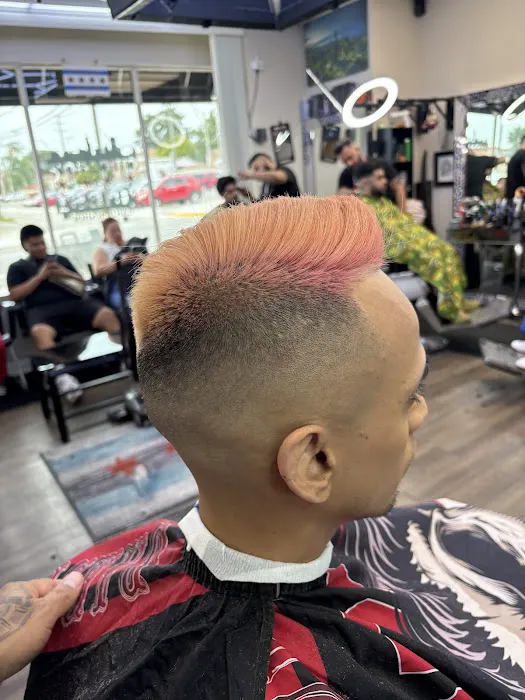 Barberojosevnezuela Picture 10