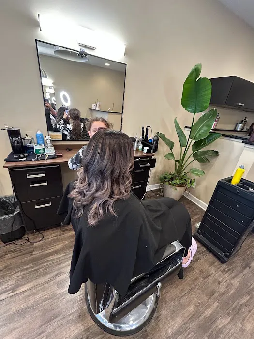 Illusive Image Hair Salon Picture 7