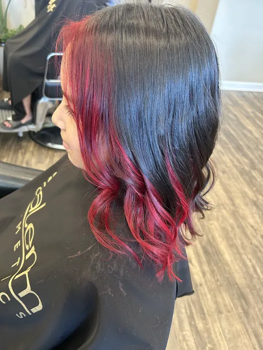 Illusive Image Hair Salon Picture 5