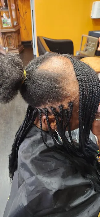 African Beauty Braids Picture 4
