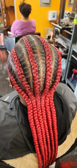 African Beauty Braids Picture 6