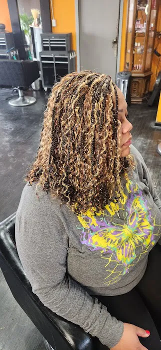 African Beauty Braids Picture 5