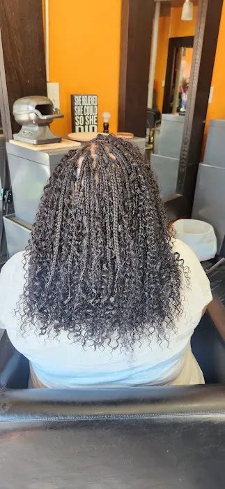 African Beauty Braids Picture 8