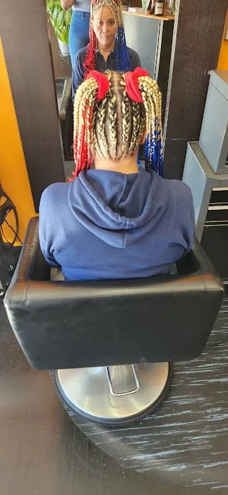 African Beauty Braids Picture 1