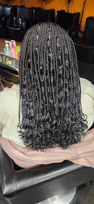 African Beauty Braids Picture 2