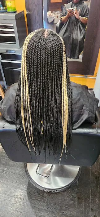 African Beauty Braids Picture 9