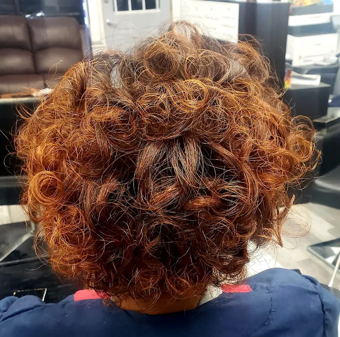 Asma Hair Design, Egyptian hair design Picture 2