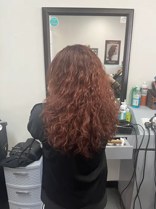 Lucy's Hair Design Picture 5