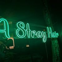 A Stray Hair ico