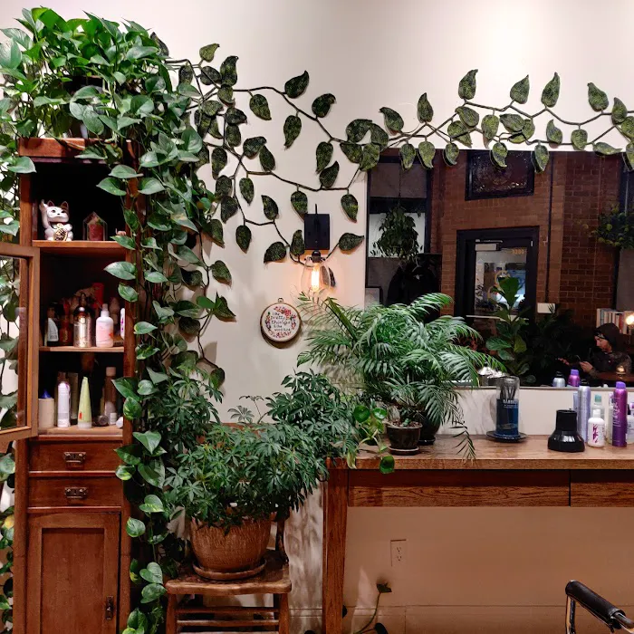 Broken Roller Hair Shop Picture 2