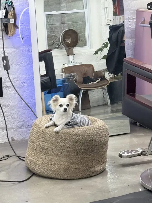 REM Salon Picture 10