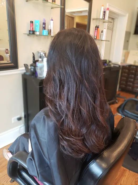 Hair Studio 5 Picture 8