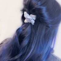 Atlas Salon ico