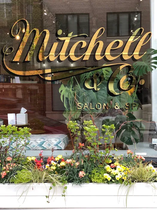 Mitchell & Co. Salon and Spa Picture 2