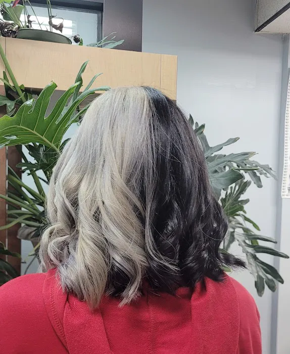 Mia's hair salon Picture 10