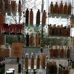 The Bird's Nest Salon