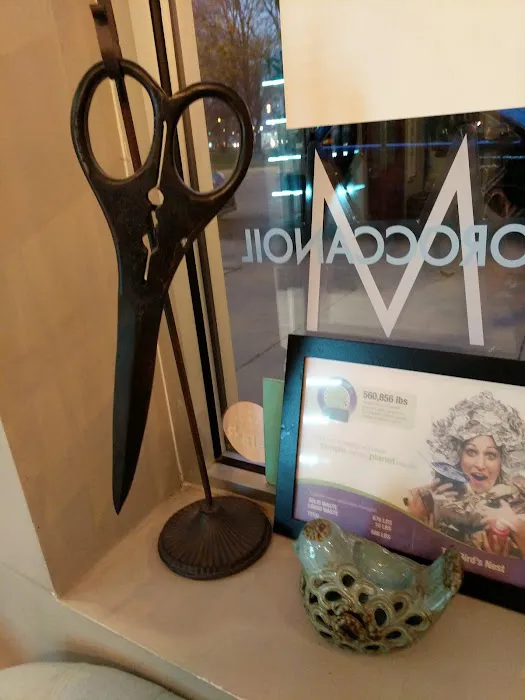 The Bird's Nest Salon Picture 9
