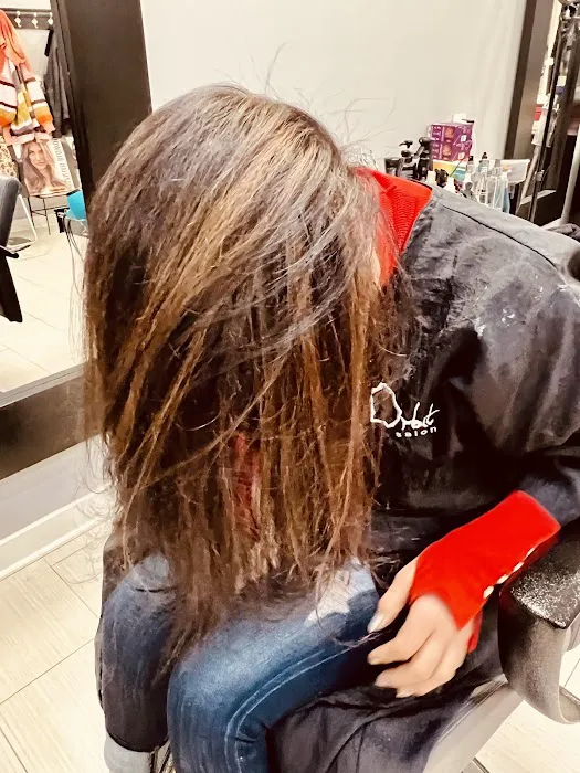 The L Beauty Spot and Dry Bar Hair Salon Picture 2