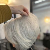 Isaac Crawford Salon ico