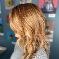Salon Aster | Color, Extensions, Cuts ico