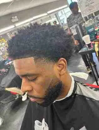 Quality Cuts by Quis Picture 6